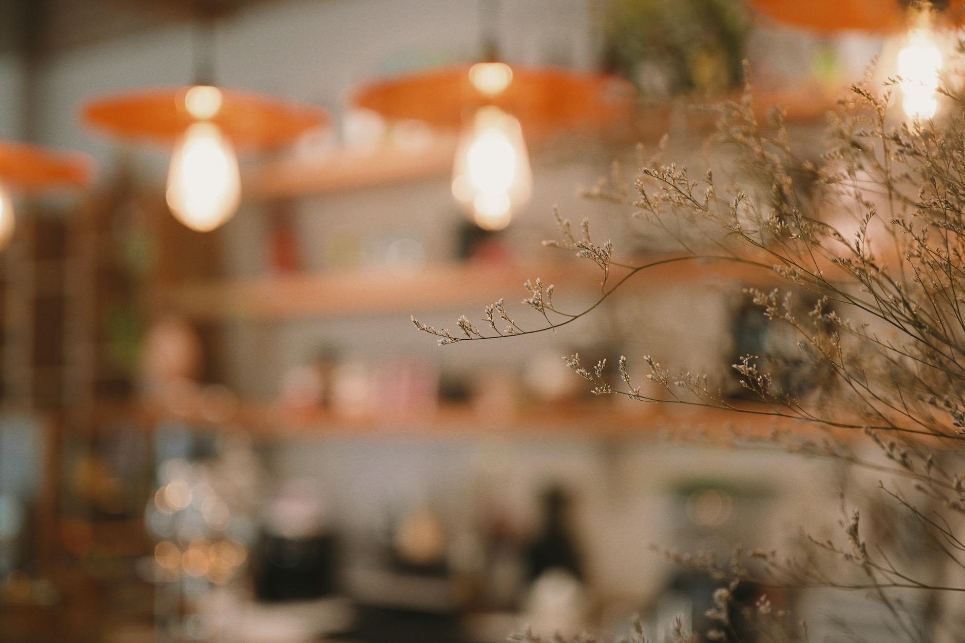Warm and cozy cafe interior featuring soft focus lighting and decorative twigs.